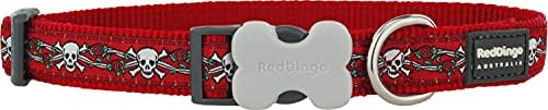Craniu din Dingo Red Dingo și guler de câine roșu, mic/12mm