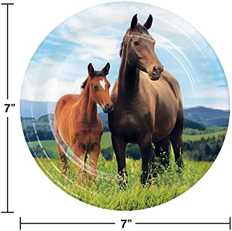 Creative Converting Wild Horse Desert Plates, 24 ct