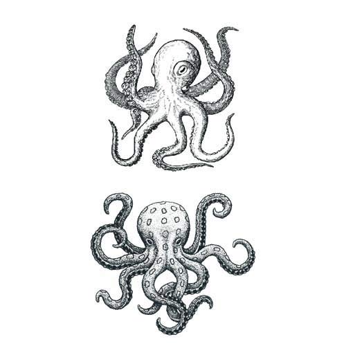 Sanerlian Jellyfish Octopus Tatuaj Temporar Squir Squid Fake Tatoo Cartoon Băieți fete Copii Părtare Favorizați brațul de mână