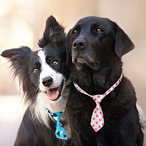 Set de cravată pentru animale de companie JPGDN 60pcs include 30 CPC -uri reglabile pentru câini și 30 pcs pentru câini mici,