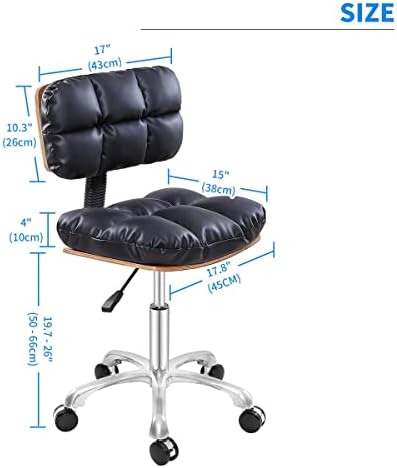 Ajorah Rolling Scaun pivotant scaun cu spate, scaune reglabile cu roți pentru casă, studiouri, stomatologice, magazin, salon,
