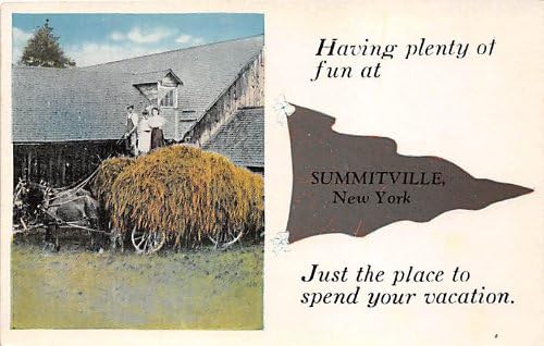 Summitville, New York Postcard