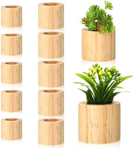10 PC -uri 2 dimensiuni Suport de plante de aer din lemn în stil rustic în interior vase de plante aeriene mici plante de aer