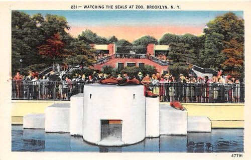 Brooklyn, New York Postcard