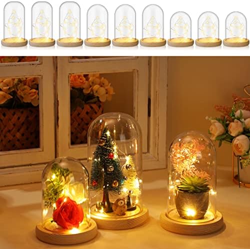 Set de 12 cupole de cloche din plastic cu bază de lemn rustic și LED -uri de plastic de plastic de plastic afișat borcan pentru