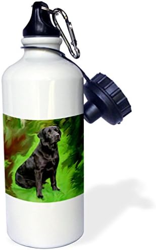 3Drose Black Labrador Retriever Sports Sports Water Bottle, 21 oz, alb