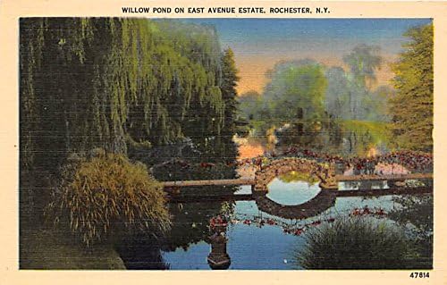 Rochester, New York Postcard