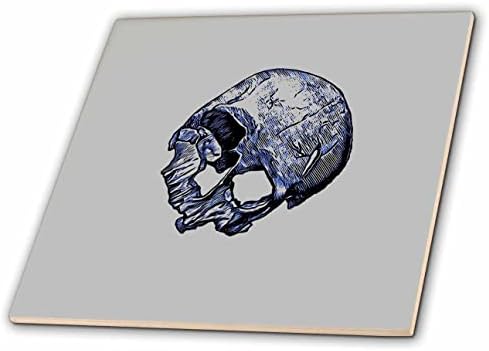 3Drose Taiche - Ilustrație - Craniu - Craniu uman Broken în stil tatuaj - Placi