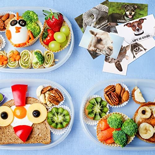 120 piese amuzant animale prânz Caseta note pentru copii Mini motivaționale și Inspirational carduri 3.5 x 2 inch încurajare