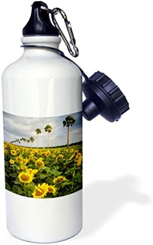 3DROSE Floarea soarelui comercial mărginită de palmieri - sticle de apă